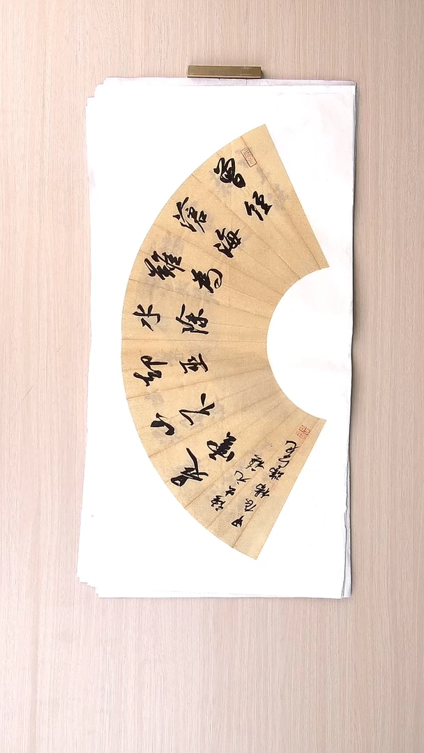 书法杨瑞宽 河南南阳68*34 扇面