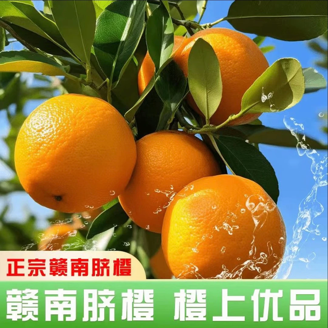 【试吃三个明天到】《江西赣南脐橙》香甜爆汁孕妇水果现摘自然成熟多仓发货江西省