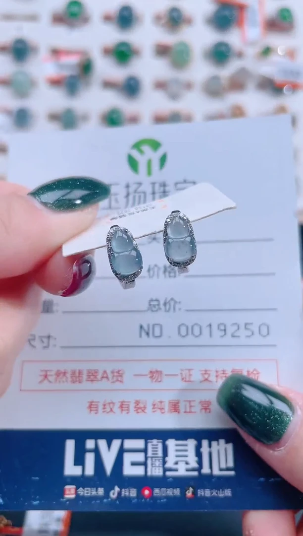 银S925镶嵌翡翠耳饰天然翡翠