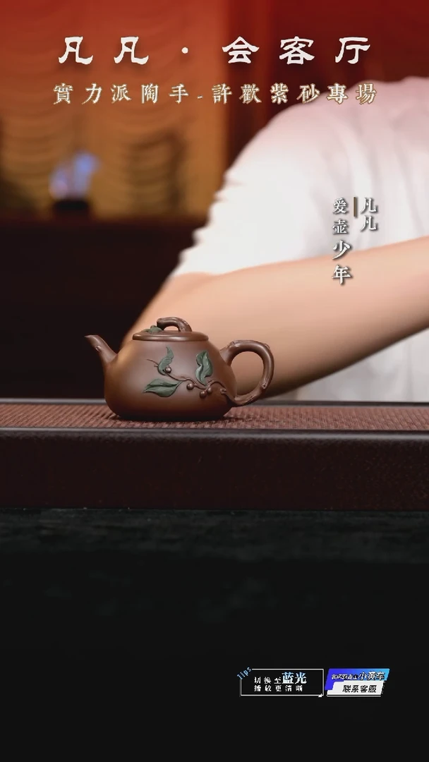 凡凡会客厅紫砂壶 16