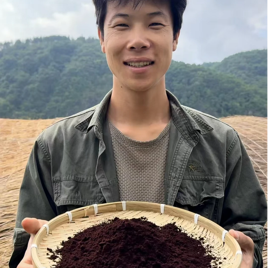 永乐农人自收长白山灵芝孢子粉  灵芝片