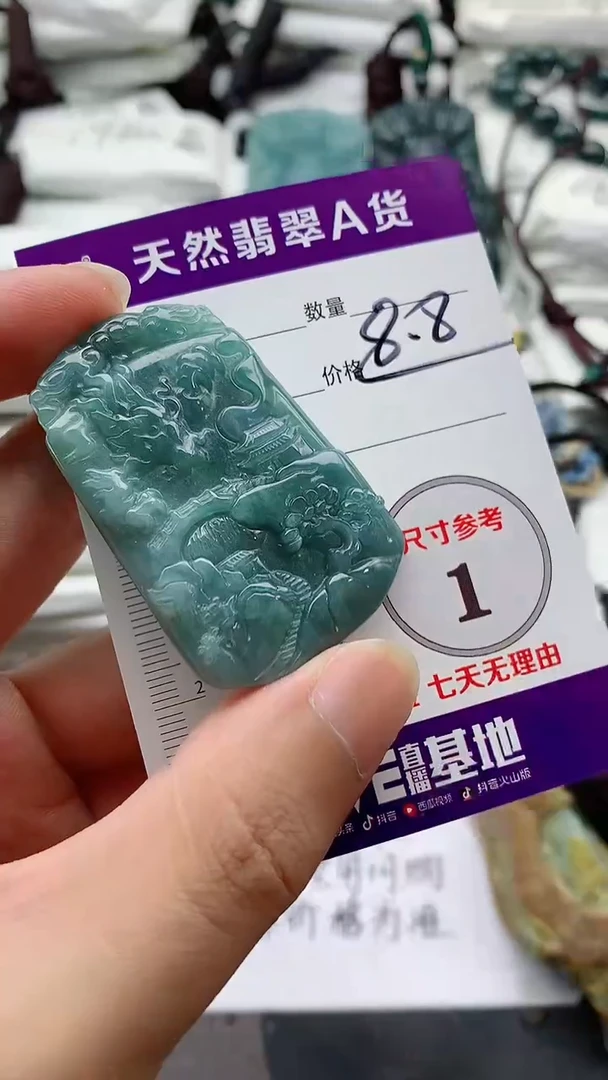翡翠未镶嵌颈饰888