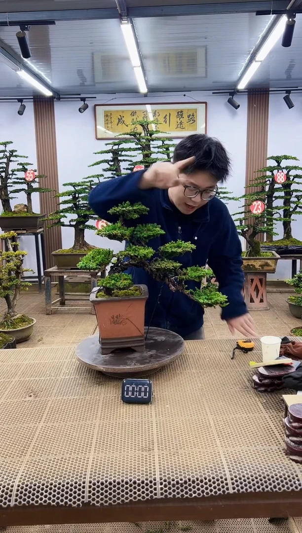 【闪购商品】一物一拍，所见即所得