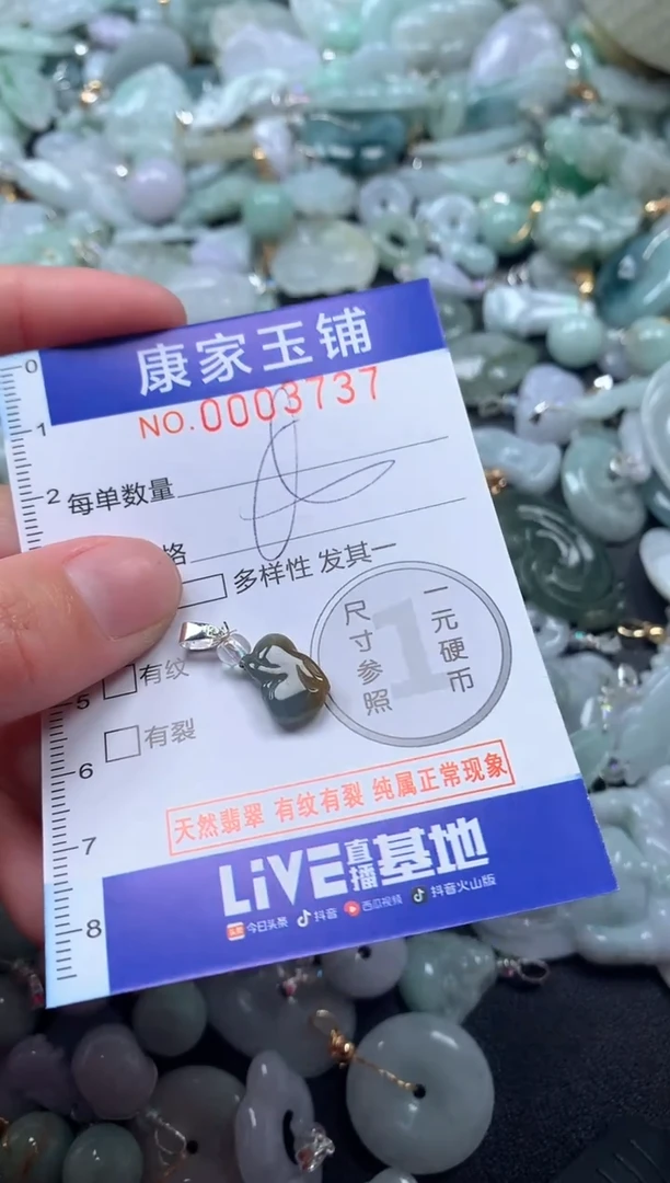 颈饰未镶嵌翡翠3737