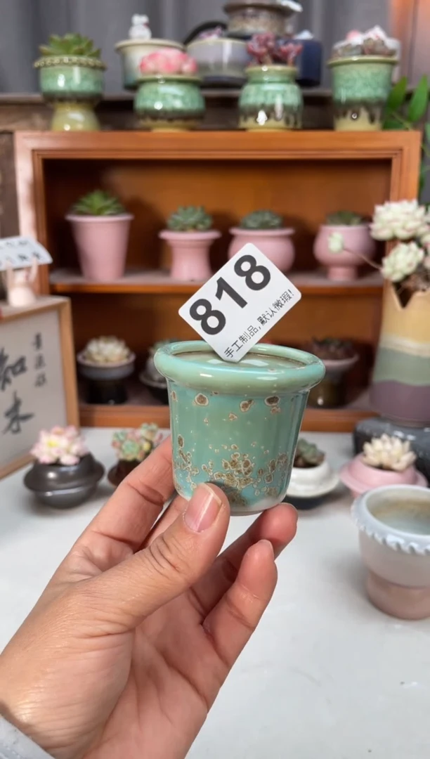 瓷片818小芳直播编号