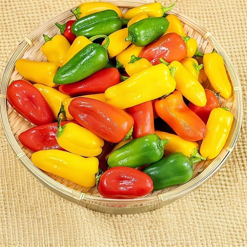 水果彩椒新鲜迷你甜椒沙拉凉拌蔬菜生吃甜彩椒山东寿光现摘
