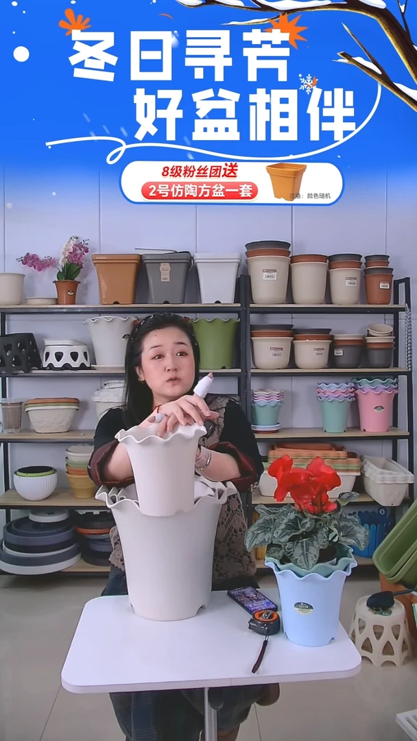 荷叶边5002米白5套带托盘