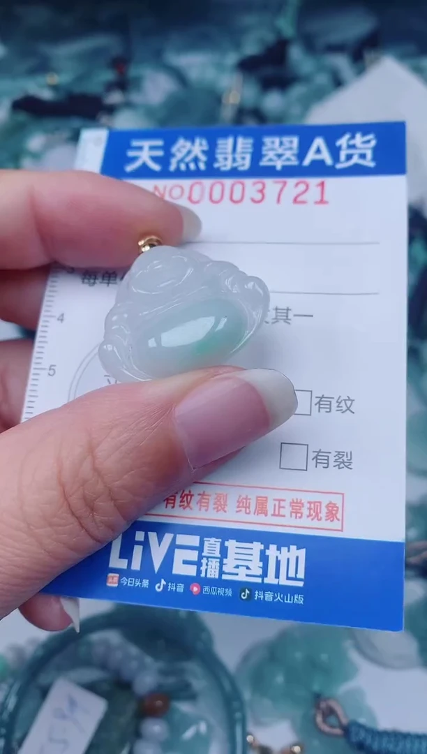 颈饰未镶嵌翡翠00003721