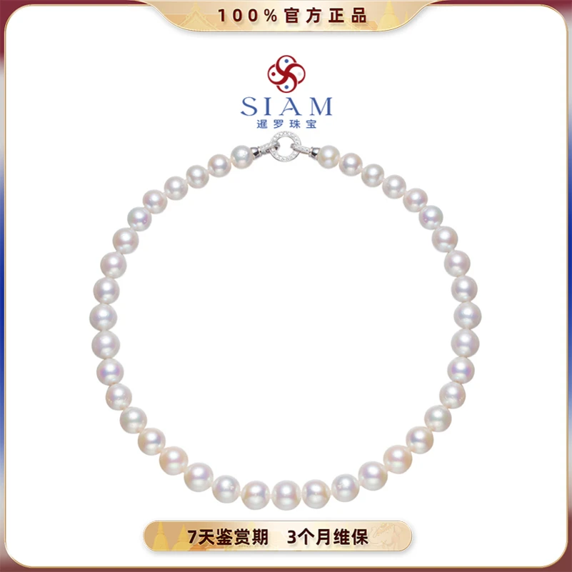 淡水有核白细胞白色珍珠项链9-12mm