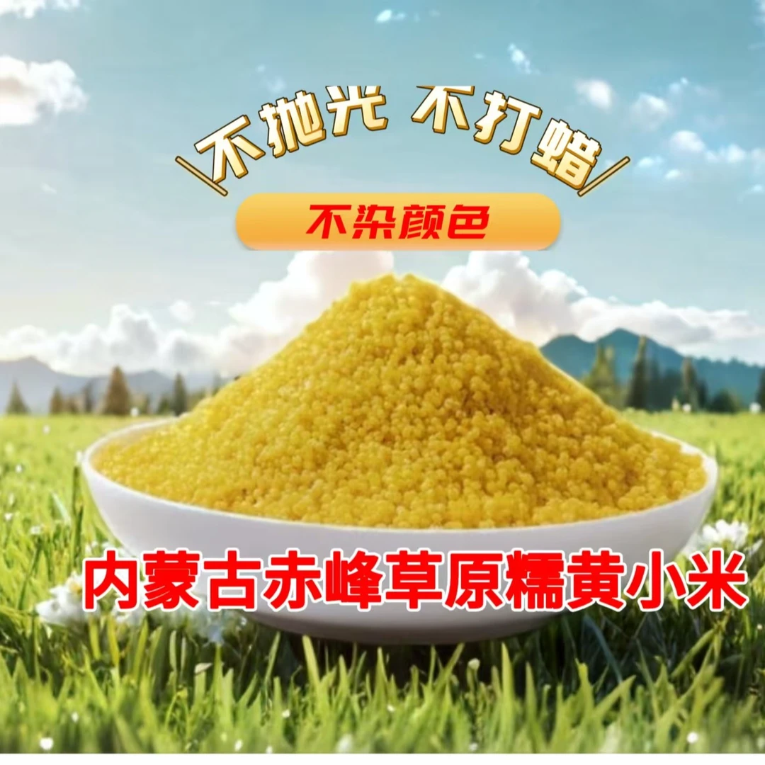 内蒙赤峰黄小米产地直发2025农家现磨新米小米粥敖汉小米