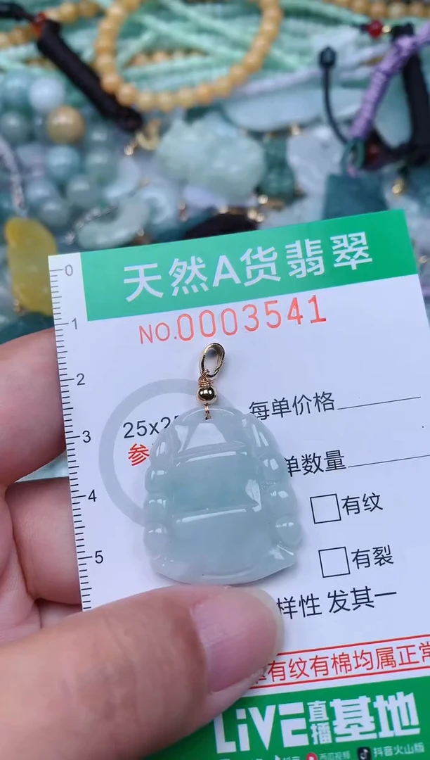 翡翠未镶嵌颈饰.0003541