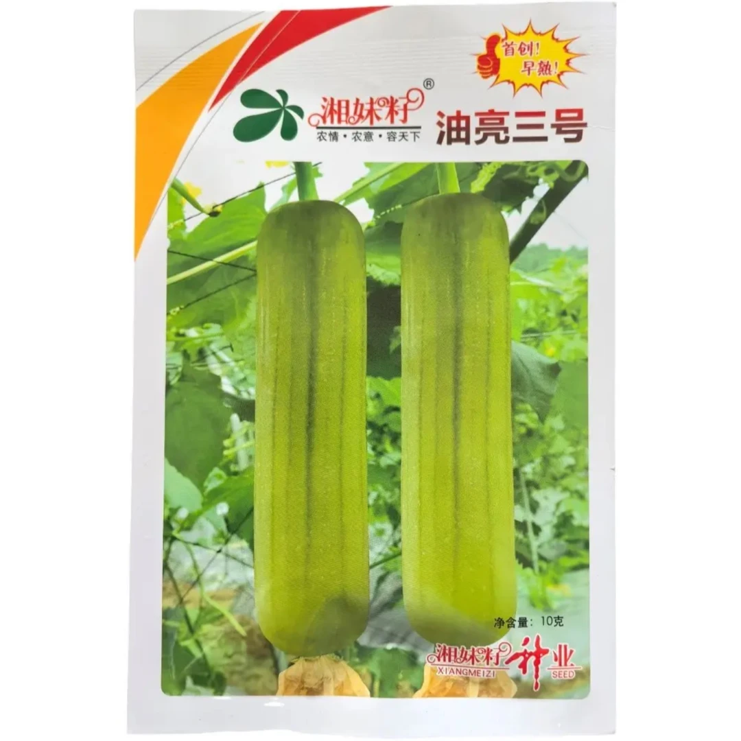 早熟油亮三号油白丝瓜种子早熟湘妹籽白绿色油亮丝瓜种子10克当季