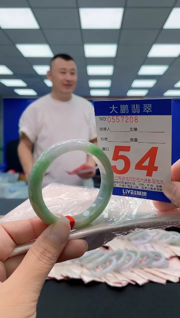 未镶嵌手镯翡翠AAAAAAAAA