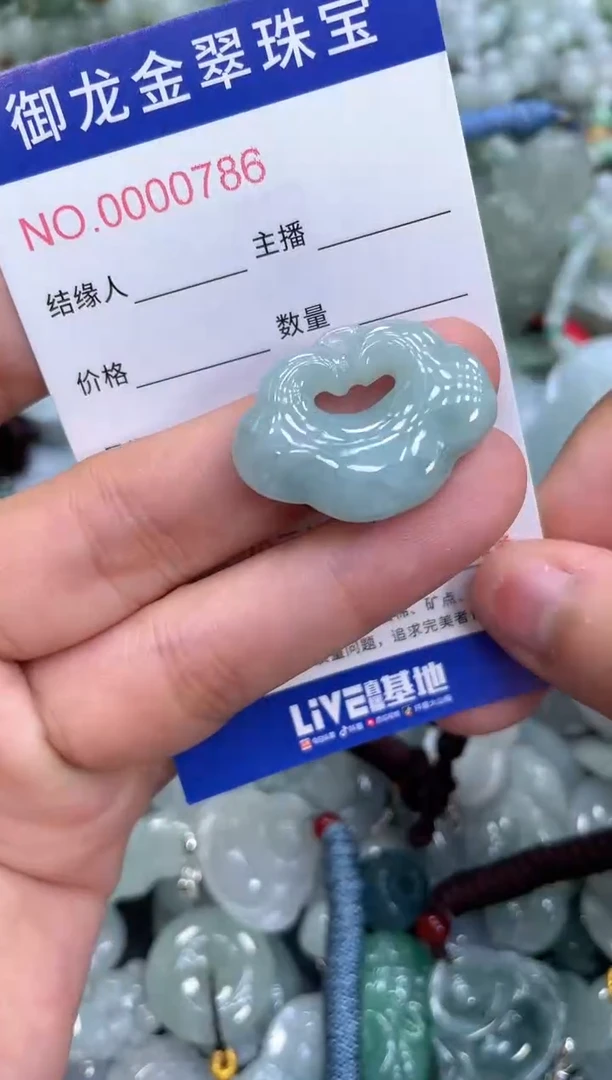 颈饰未镶嵌翡翠026