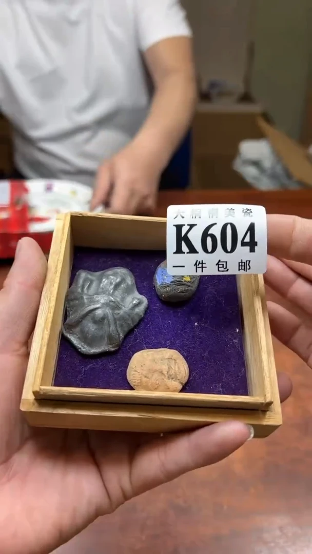 【闪购商品】杯大桐桐美瓷1号商品604