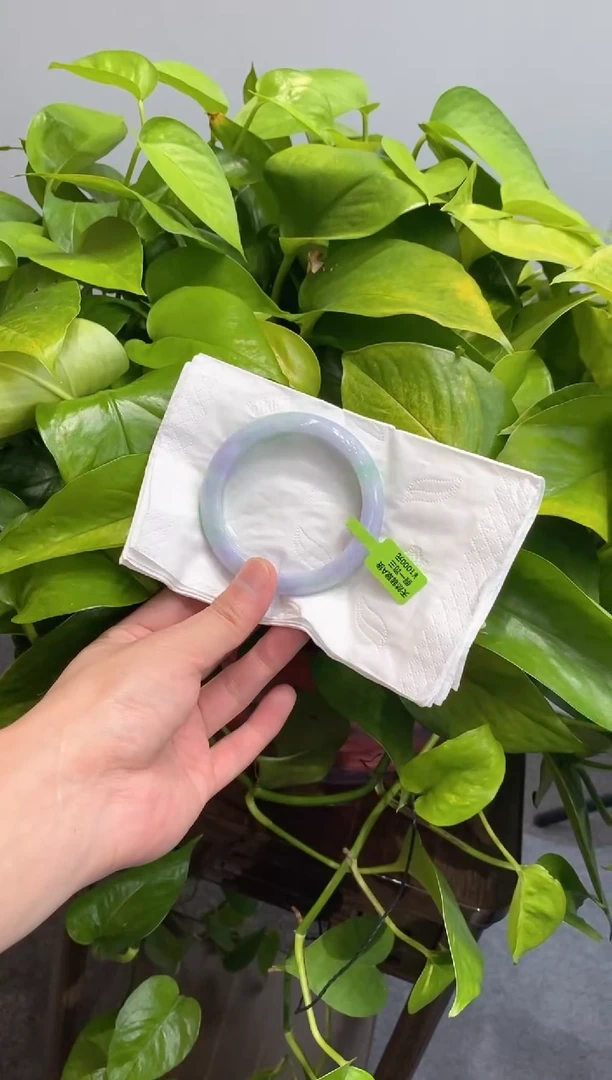 未镶嵌手镯翡翠000087029