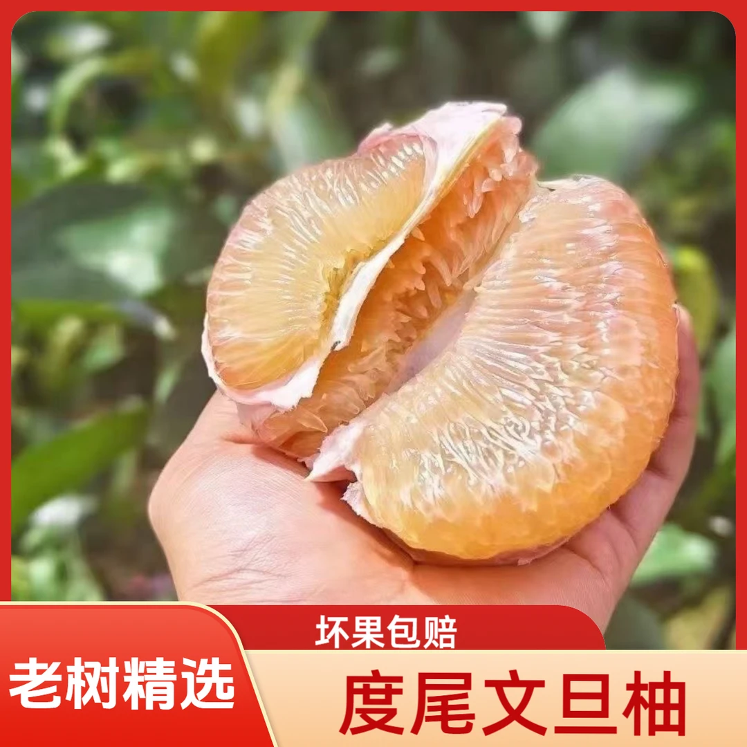 【5斤装】正宗度尾文旦柚子福建仙游老树红心文旦柚孕妇新鲜水果