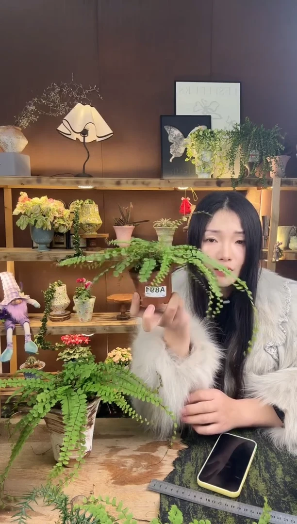 以实际为准爱****a891曼舞育苗盆