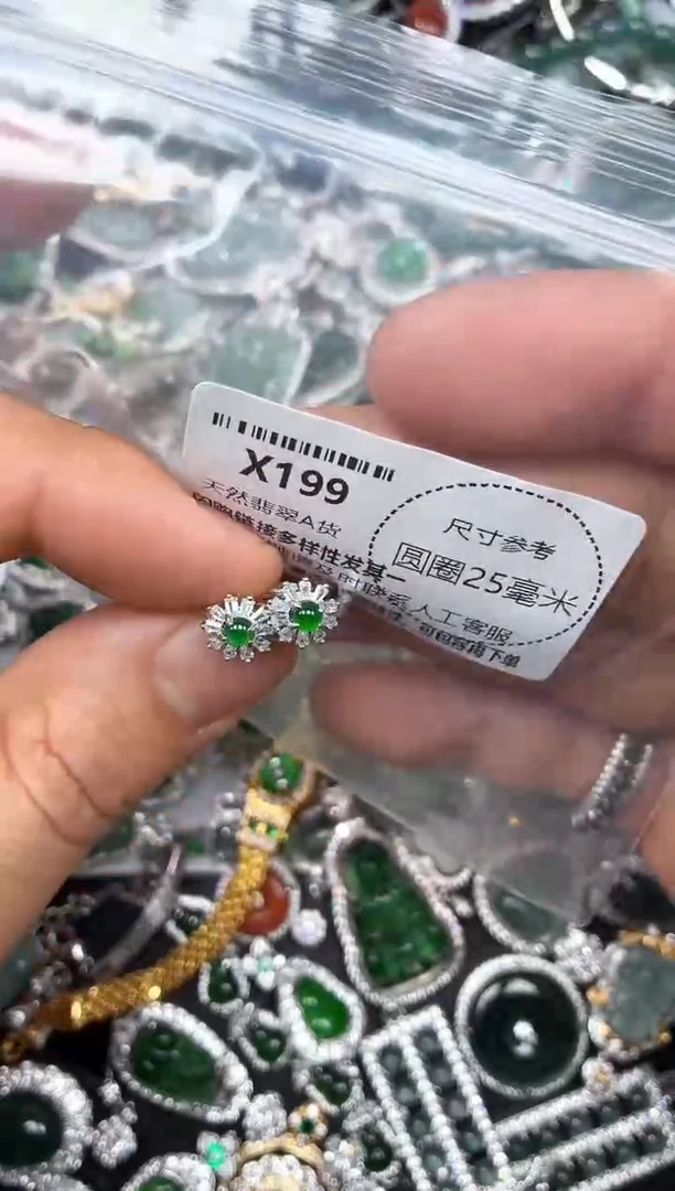 翡翠未镶嵌颈饰X199耳扣