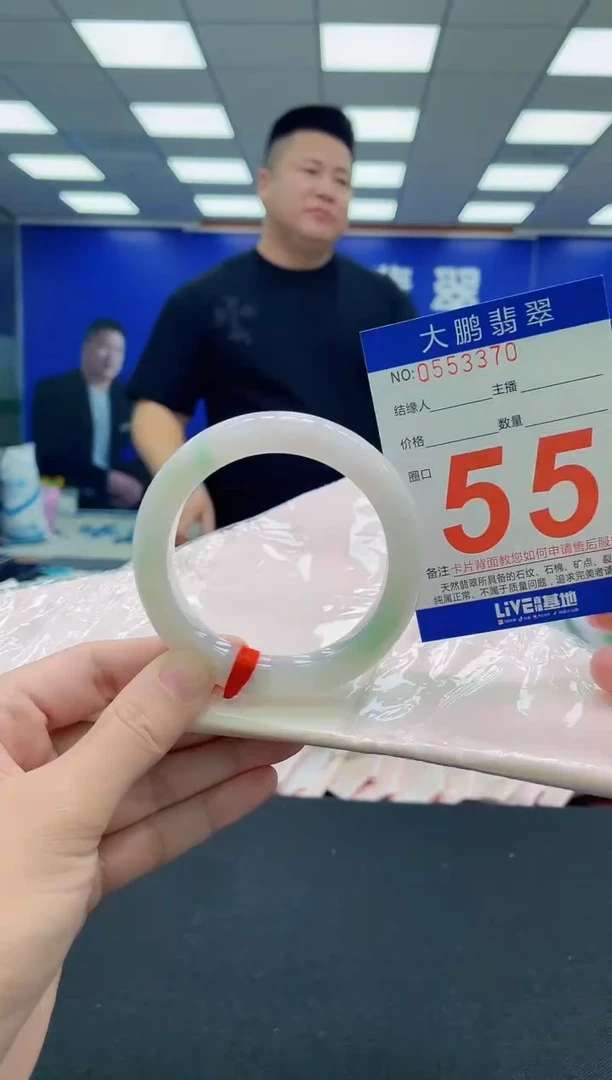 未镶嵌手镯翡翠AAAAAAAAA