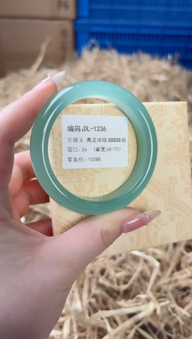 未镶嵌手镯石英质玉DL-1236