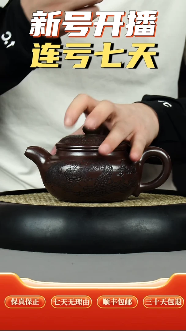 茶壶紫砂龙潭紫泥  仿古 鱼化龙刻绘