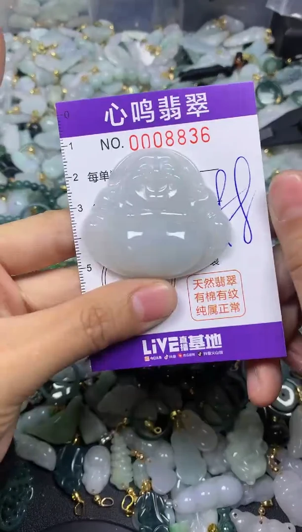 【闪购商品】翡翠颈饰未镶嵌闪购008836