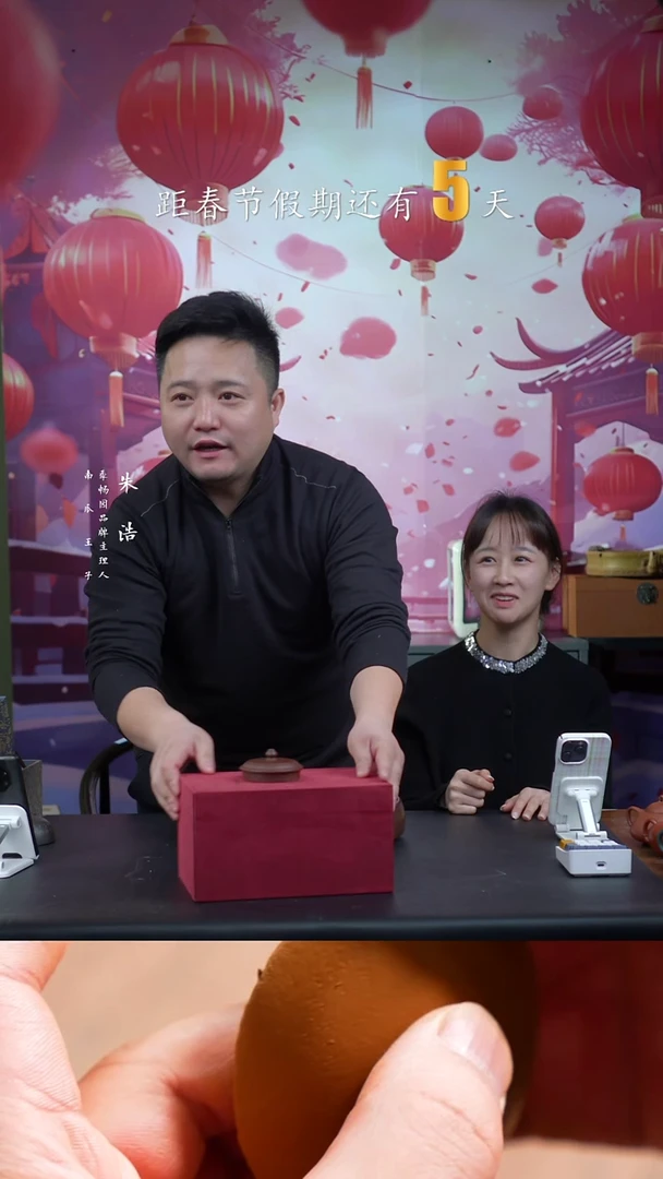 【闪购商品】紫砂茶壶0119紫砂壶1季畅园