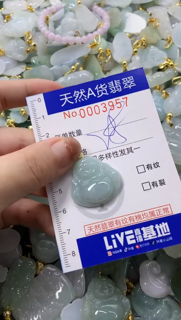 颈饰未镶嵌翡翠天然A货翡翠