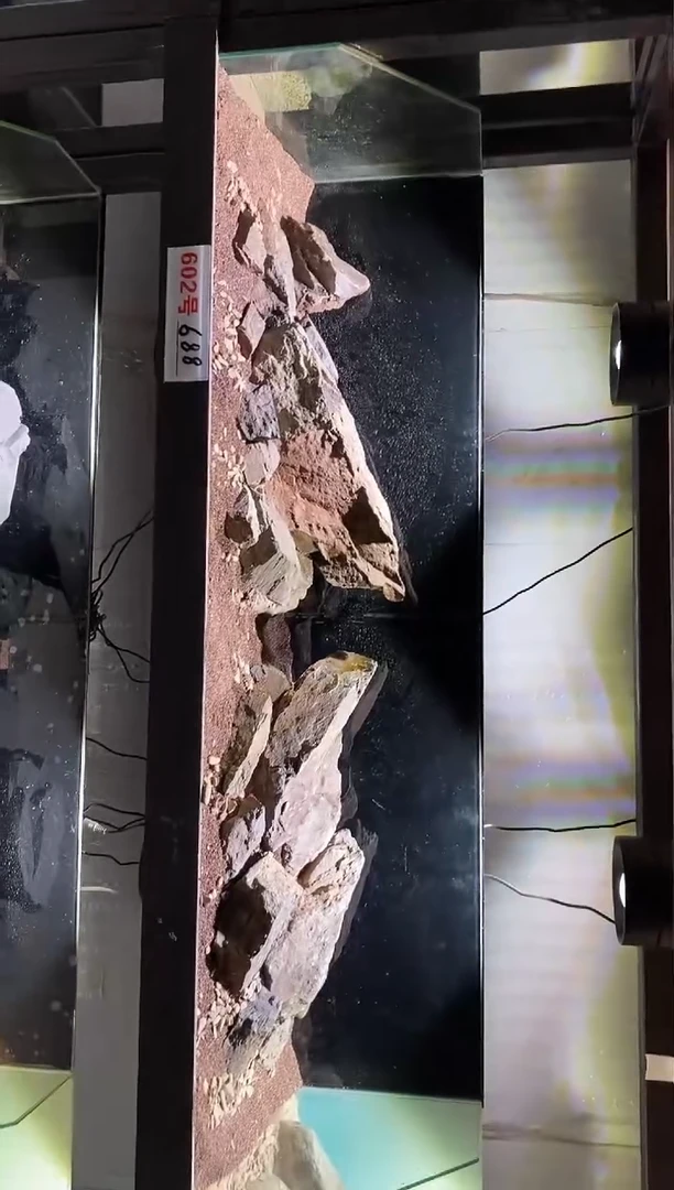 602号鱼缸造景（不含底砂）