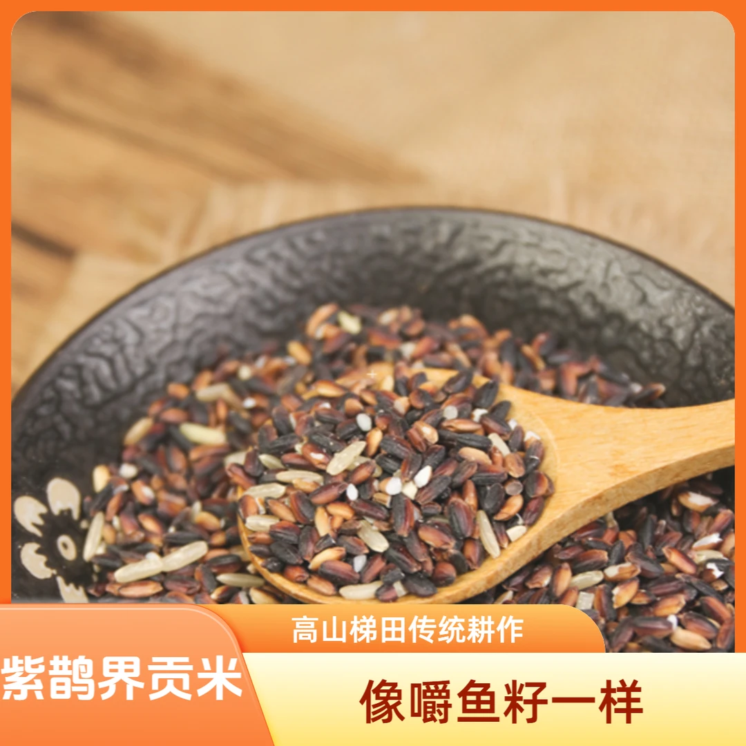 【满妹优选】新化紫鹊界贡米紫香米高山梯田米传统耕作