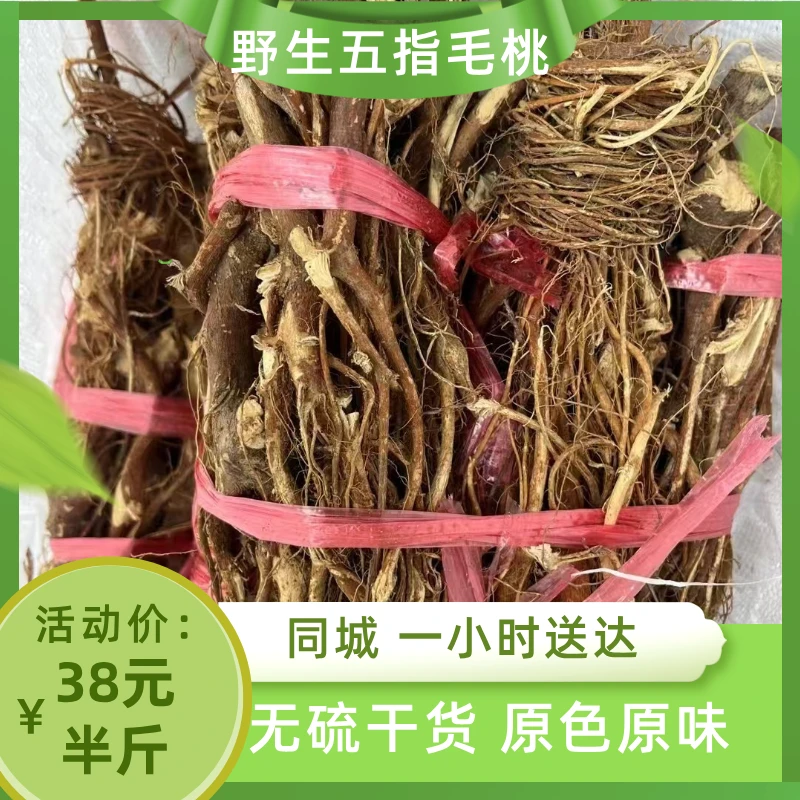 【五指毛桃】同城配送阳山五指毛桃野挖无添加椰香未足适合煲汤新鲜