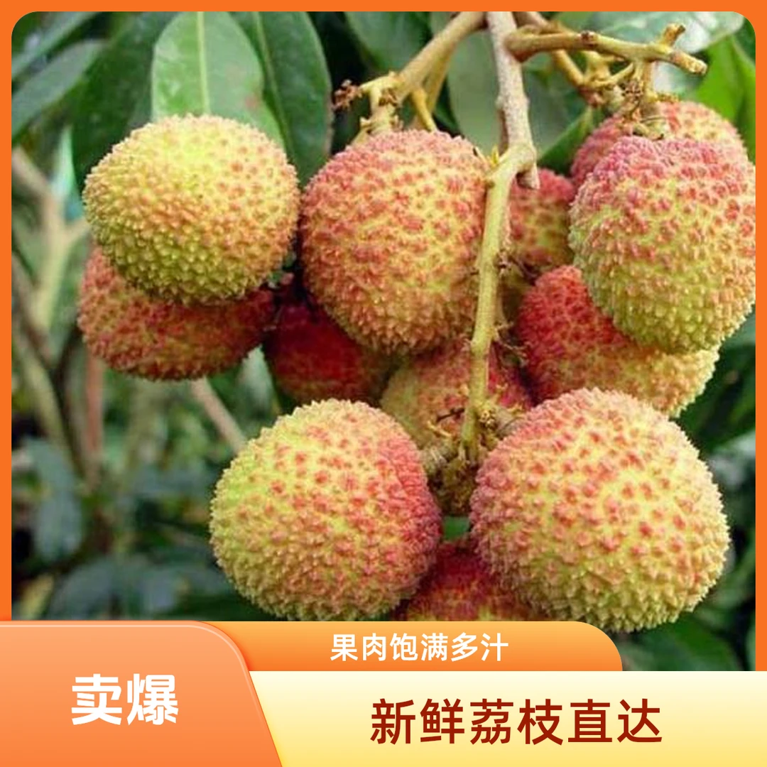 妃子笑荔枝 约1000g广西壮族自治区