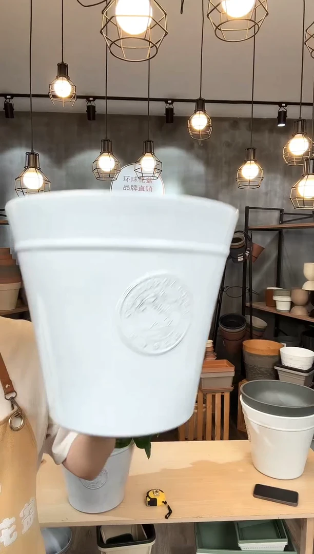 12寸克里欧斜口 雪瑞白 1只