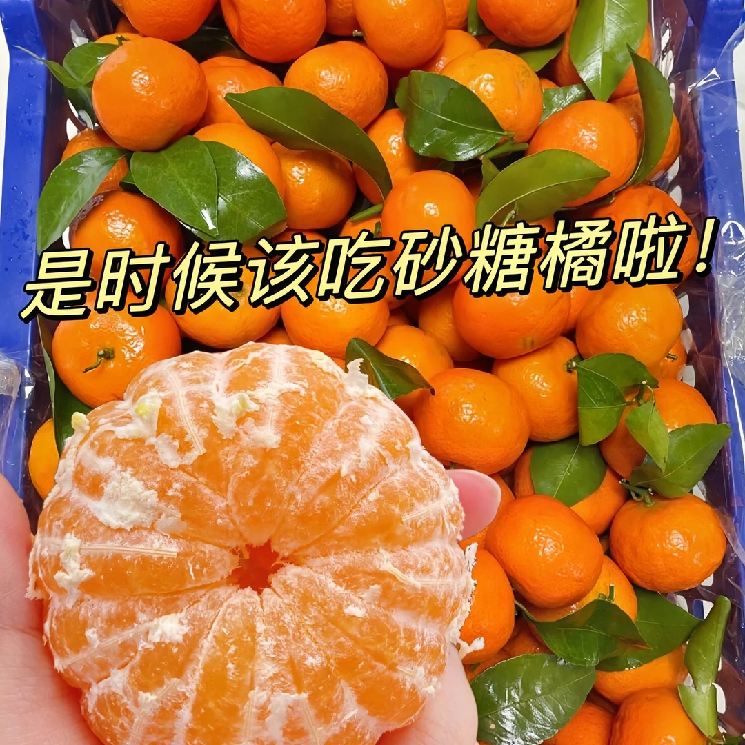 《次日达》广西桂林正宗金秋砂糖橘广西壮族自治区