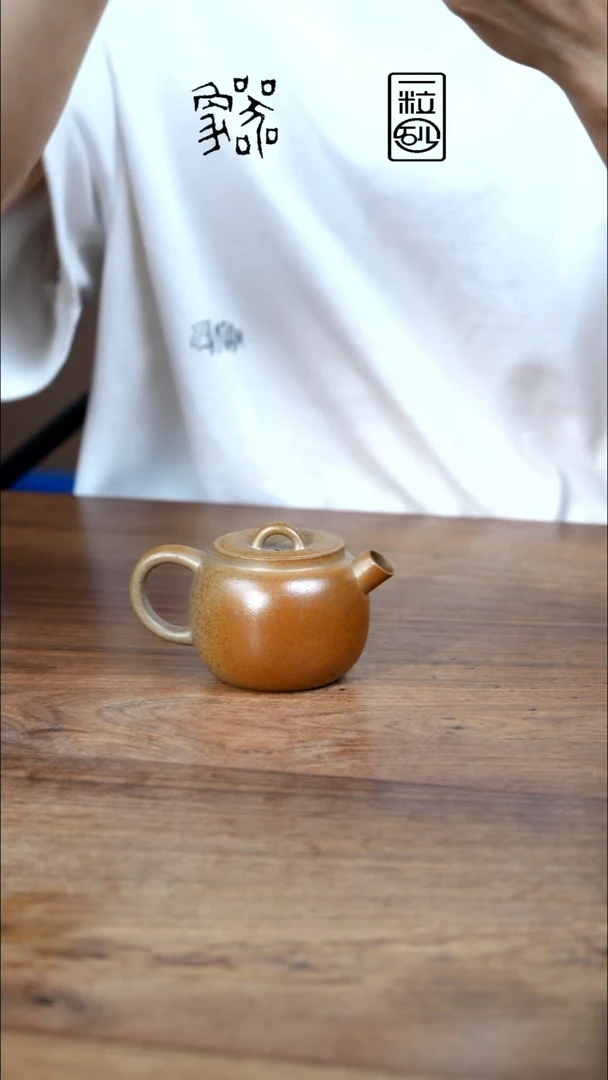 茶壶紫砂柴烧黄金段象一