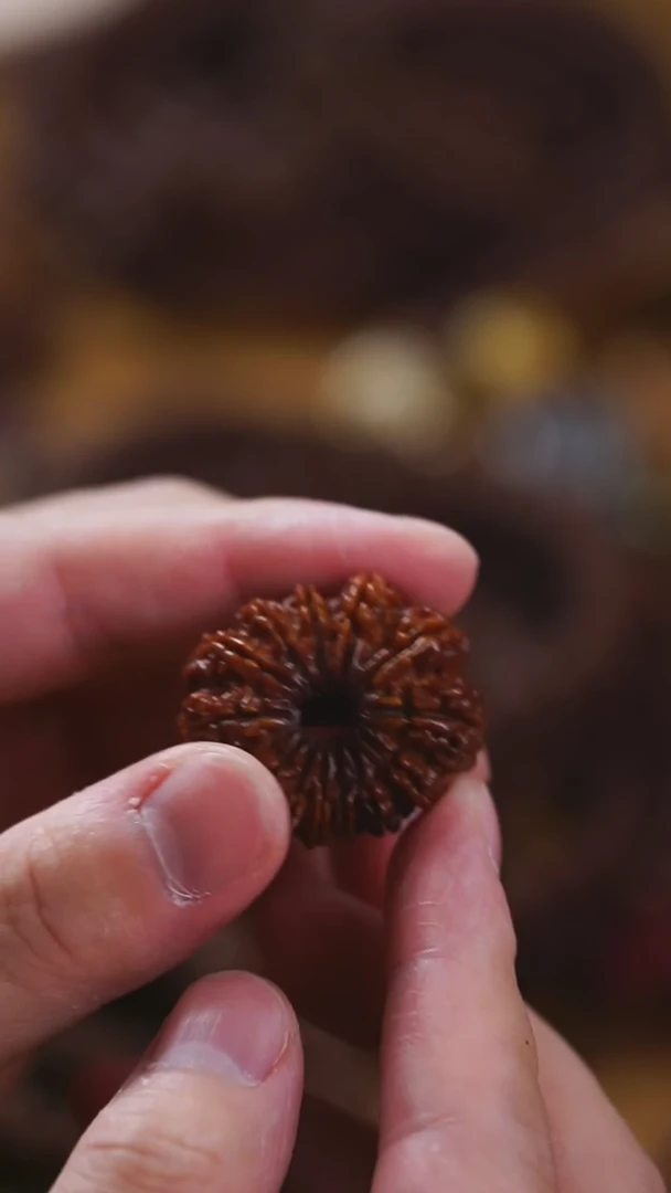 【闪购商品】金刚菩提吊坠玺呈枝蓝•榜一十四瓣 32mm