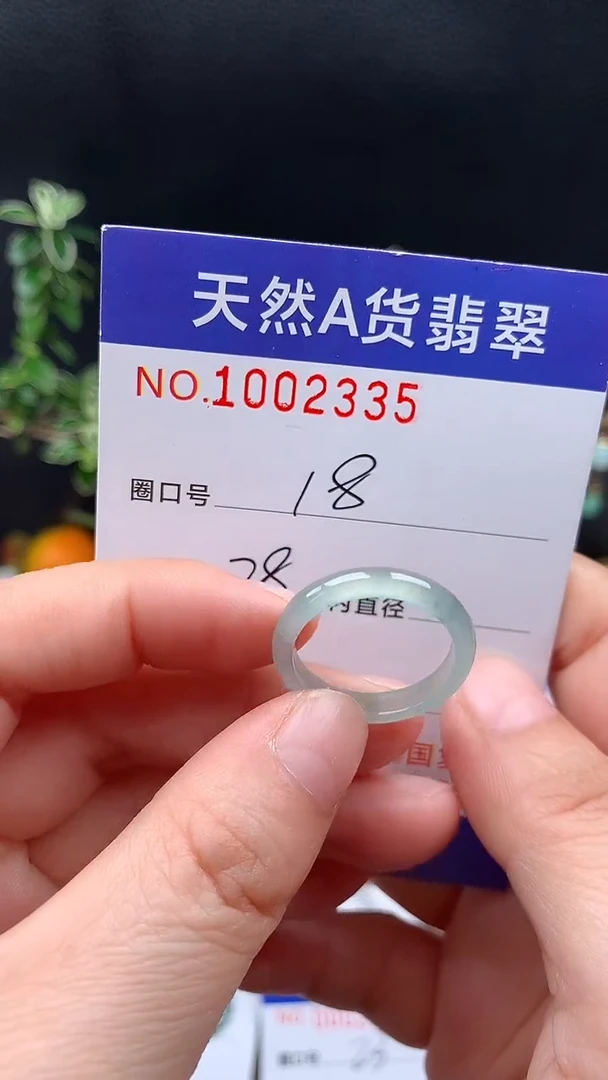 未镶嵌戒指翡翠18#
