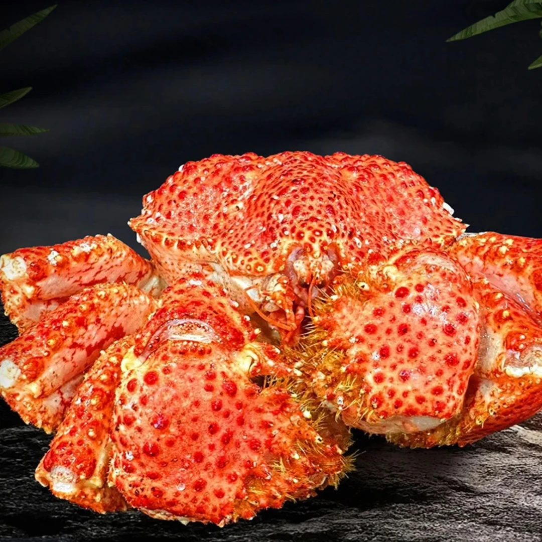 智利船冻红毛雪蟹 单只300-400g大雪蟹媲美帝王蟹顺丰包邮ww