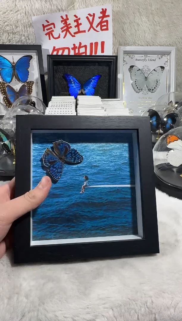 木优雅眼蛱蝶相框艺术款