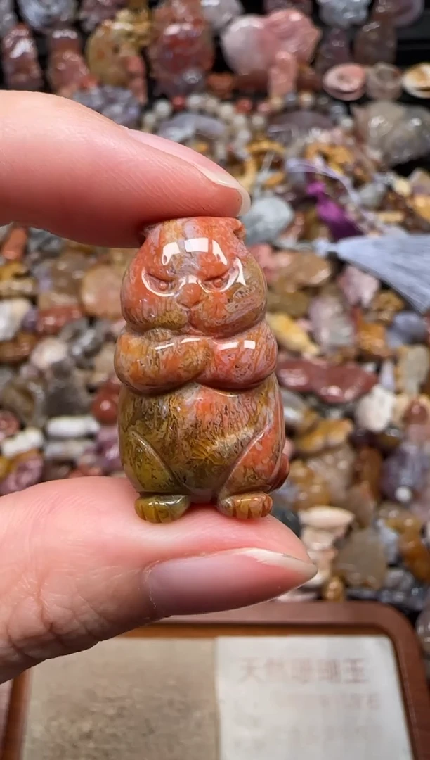 颈饰未镶嵌硅化珊瑚（珊瑚玉）425