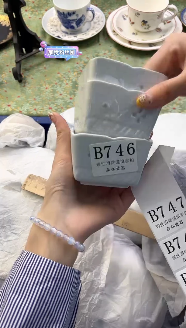 【闪购商品】瓷片          B746