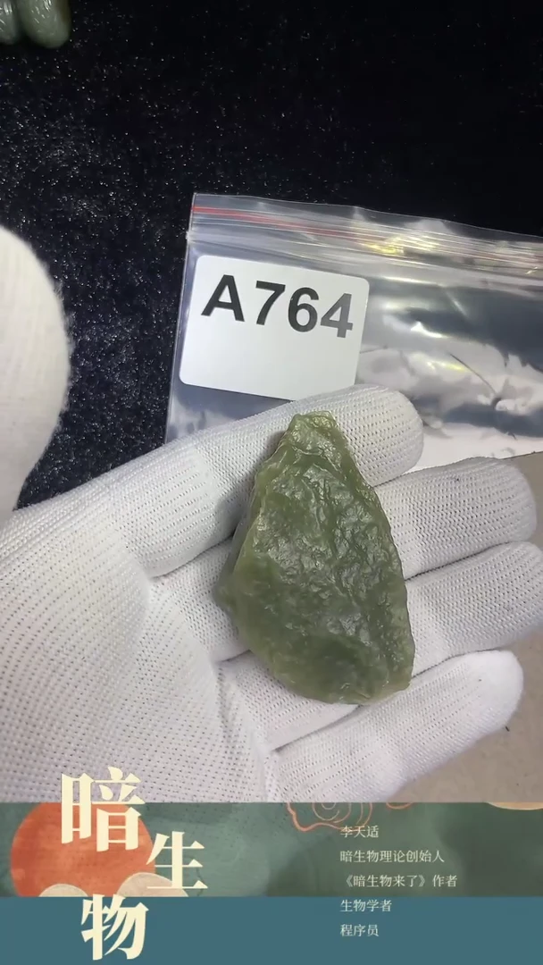 【闪购商品】和田玉吊坠(赠链)未镶嵌764