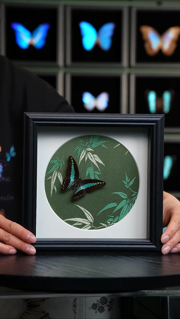 青凤蝶竹子布料底8寸方框