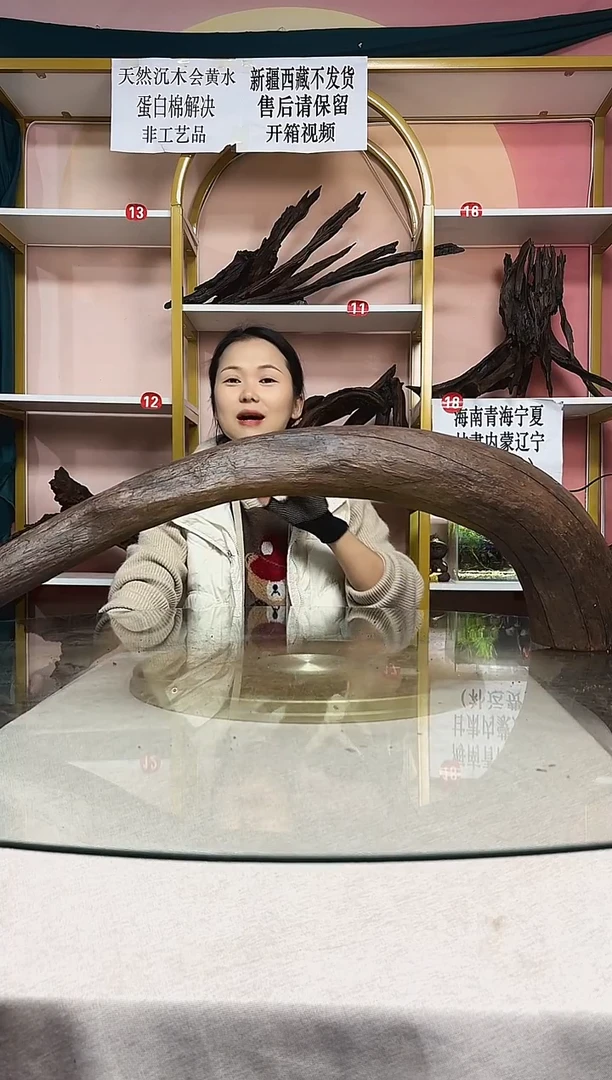 你*.鱼缸造景沉木A018