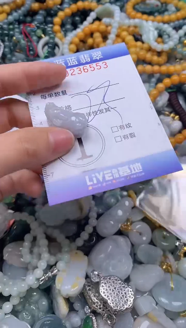 翡翠未镶嵌颈饰闪购0236553