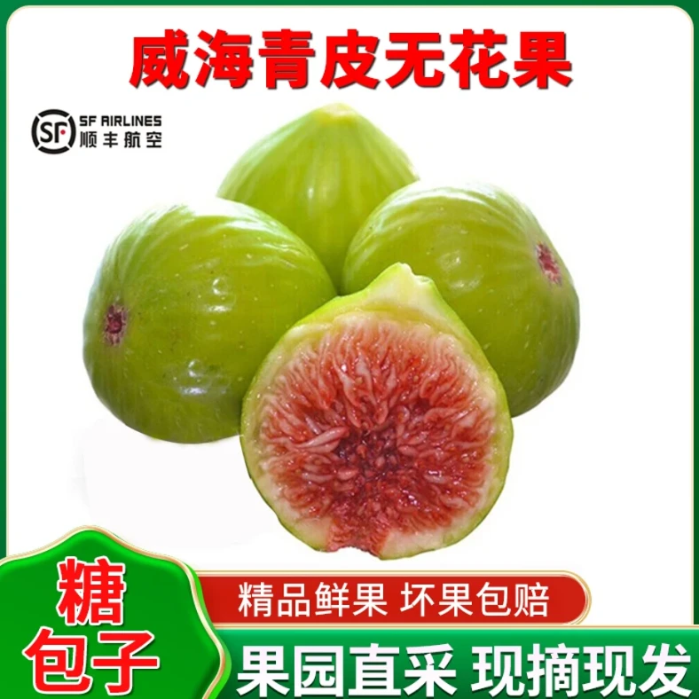 【顺丰空运】威海青皮无花果 当季新鲜水果甜糯精选大果现摘现发
