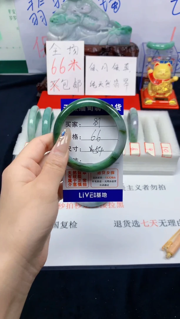 未镶嵌手镯翡翠81