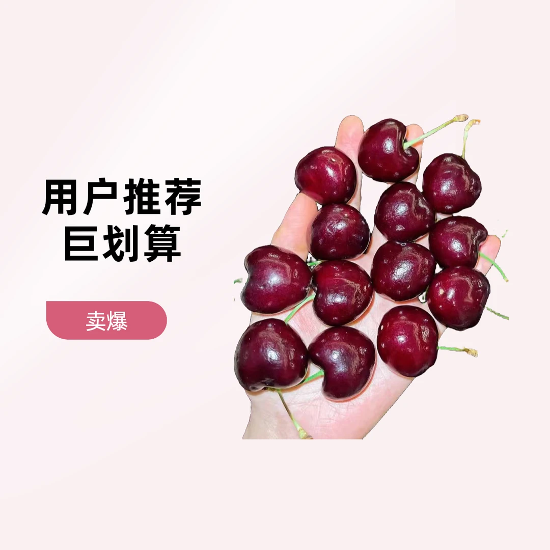 3JD 智利车厘子 5斤装 (正常损耗十颗以内无售后 超出十颗私信主播 可售后 干裂 坑洼不在售后范围)