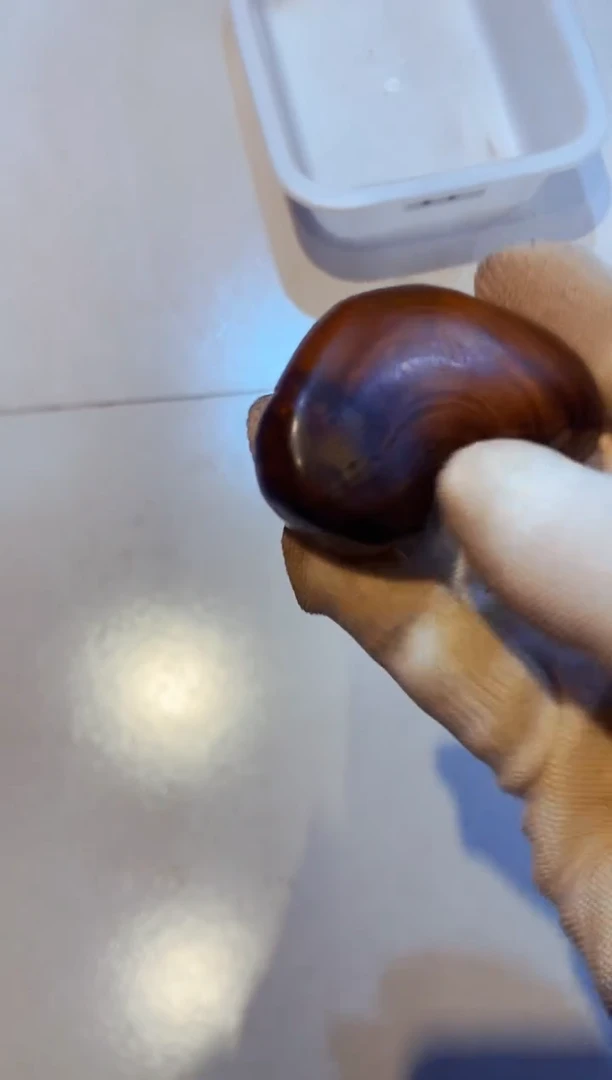 柏木（崖柏）24北太行崖柏陈化手把件手串